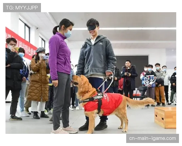 通讯：一位盲人球迷在导盲犬陪伴下现场“聆听”棒球赛的故事