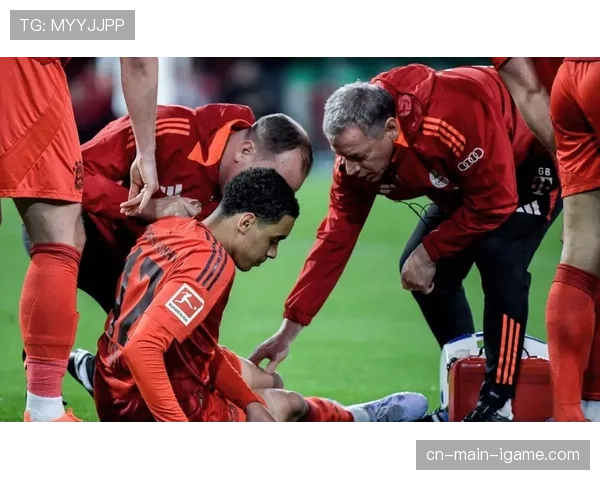 拜仁训练基地开放日，超过千名球迷观看欧冠备战